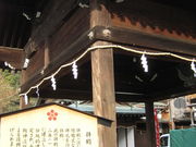 񂿂񂳂̊쑽V{̓eʐ^1