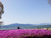 �Ԃ񂿂�񂳂�̂Ȃ��������̃V�o�U�N���̓��e�ʐ^1