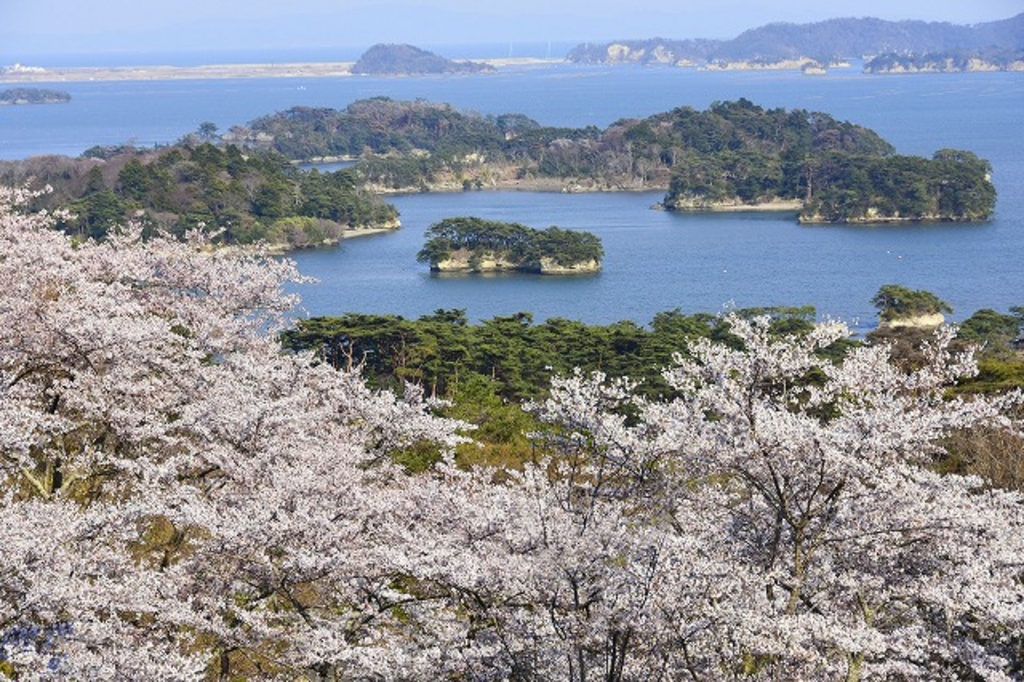 松島湾