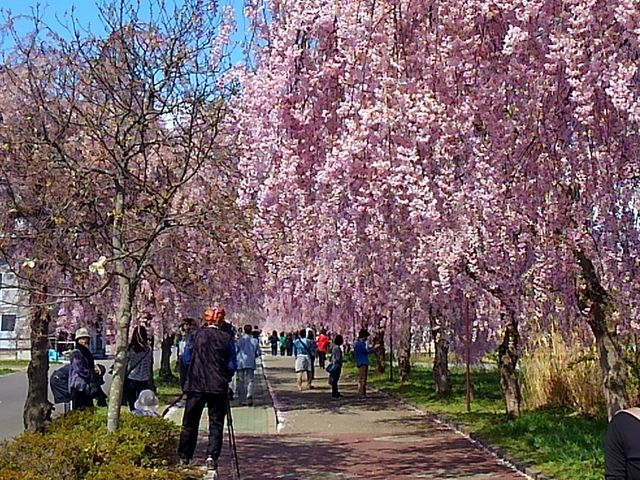 �����������������