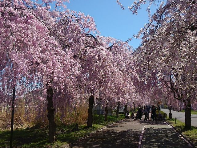 �����������������