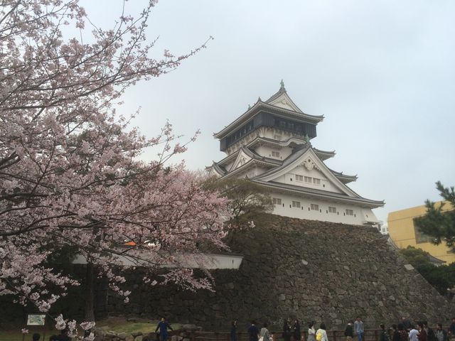 ���Ԍ�
_���q��