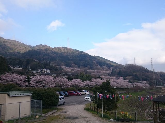 �����؂��L���C�ł�_���̉w ��a ���悩���� �I�[�g�L�����v��