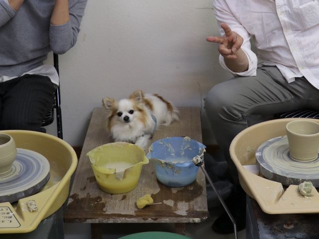 ��������񂪈ꏏ�Ɏʂ�_���|�����@���{���[