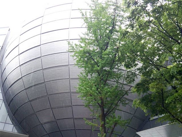 �ۂ��̂������I�ł����B_���É��s�Ȋw��