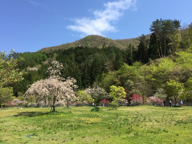 �������ɍs���܂��傤_�����̗�