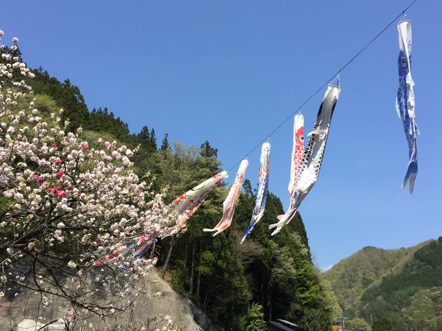 ��̂ڂ肪�A�悭�j��_�����̗�