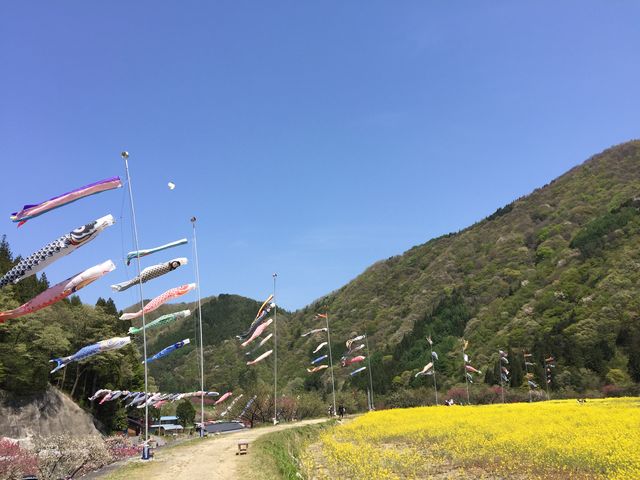 �؂̉Ԃƌ�̂ڂ�_�����̗�