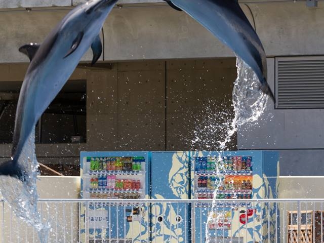 大分マリーンパレス水族館「うみたまご」】アクセス・営業時間・料金情報 - じゃらんnet