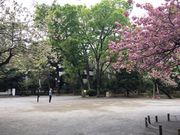 有栖川宮記念公園の桜 アクセス 営業時間 料金情報 じゃらんnet