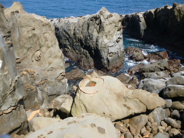 �^�ʂ������_�L�ː_�{