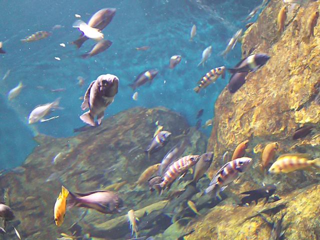 tbV֎~BłABeOKI_EW ANAgg