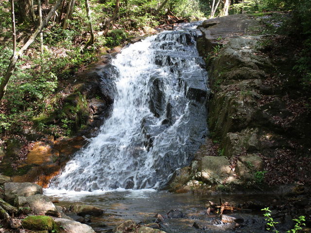 �V���N�i�Q�̑�_�N���{����