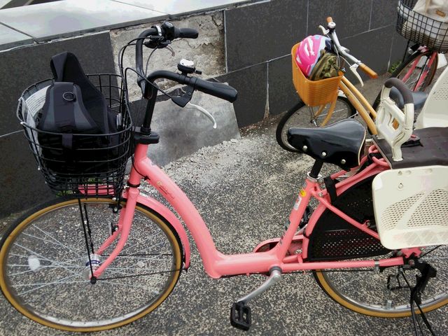 �����^�T�C�N�����؂�܂���_���G��������