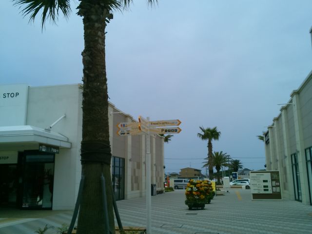 wG߂̂ԂxB[炵B_OAEgbgp[N@؍X