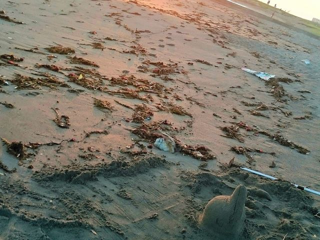 SUP���I�������A���l�ŃC���J��[�����Ȃ������Ă݂܂����B������1���y��������_�L���b�v���[�t�R