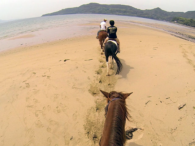 �V�[�T�C�h��n��_�V�[�r���[�����`