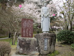 尾関山公園の桜の口コミ一覧 じゃらんnet