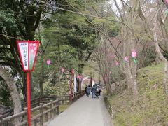 尾関山公園の桜の写真一覧 じゃらんnet