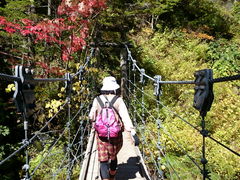 �Ȃ�����̎O�{��ւ̓��e�ʐ^1