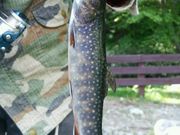 ܂邳̓ߐ{tBbVh̓eʐ^2