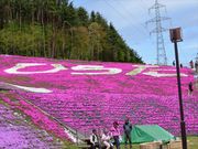 kawaeĩWsAhЂ炽̓eʐ^4