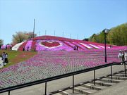 kawaeĩWsAhЂ炽̓eʐ^5