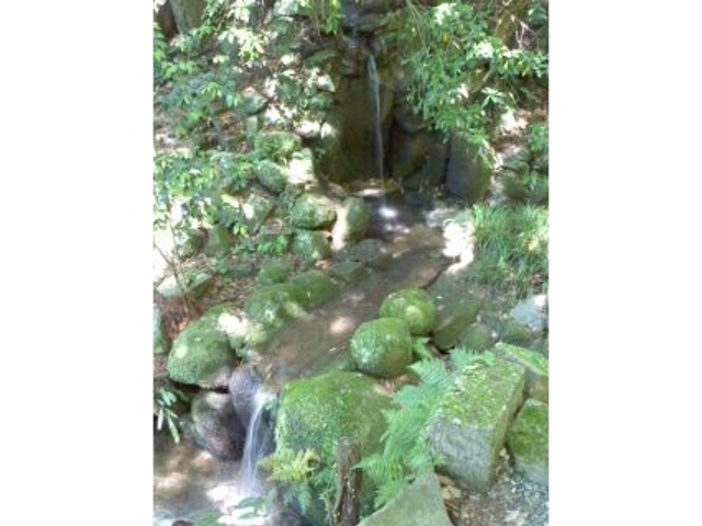 Ԃ񂳂̌܋ʐ_Ђ̓eʐ^4