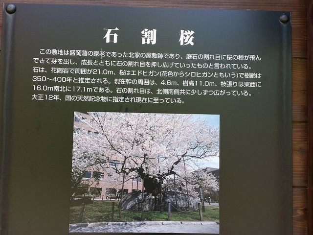 �Ŕ�_�Ί���