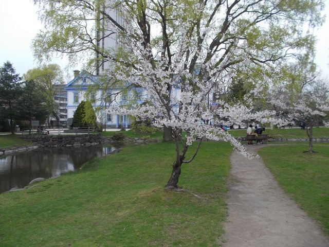 ���̎ʐ^_��������