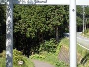 Ԃ񂳂̌܋ʐ_Ђ̓eʐ^1