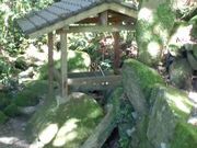 Ԃ񂳂̌܋ʐ_Ђ̓eʐ^2