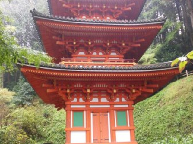 �O�d��_��D��