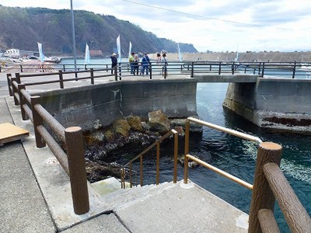 �v���E�����l�E�f���������_�����C���Z���^�[