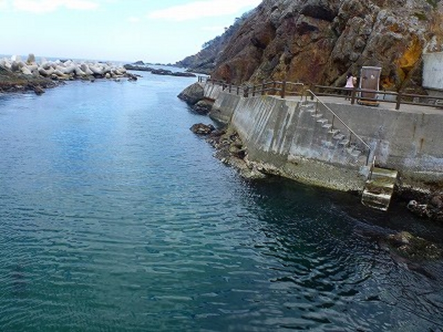 �v���E�����l�E�f���������_�����C���Z���^�[