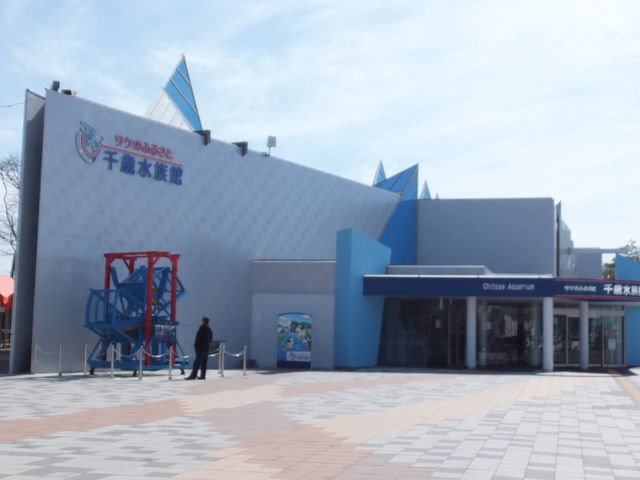 �����_�T�P�̂ӂ邳�Ɛ�ΐ�����