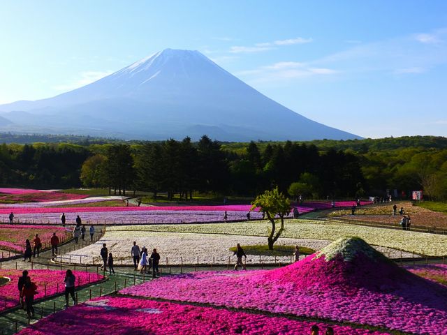 �{����