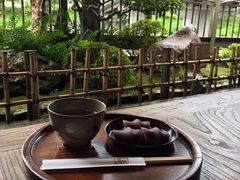 �W���j�[����̐ԕ��{�X�ւ̓��e�ʐ^1