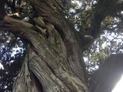 tawawȁ莛̃rNV̓eʐ^1