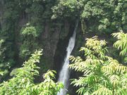 �ނ炳�񂳂�̐��ŉ��̑�̓��e�ʐ^1