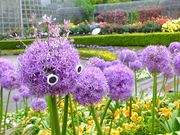 jR񂳂̏ct[K[f̓eʐ^1