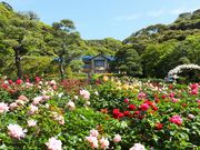 jR񂳂̊qwق̃o̓eʐ^1