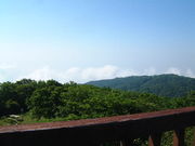 Ԃ񂳂̋畔W]̓eʐ^3