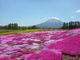 asukaさんの羊蹄山（北海道京極町）の投稿写真1
