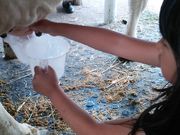 ͂ȂЂȂ̑Rt@~[q̓eʐ^2