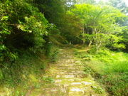 ��������̐������i�R�����R���s�j�̓��e�ʐ^1