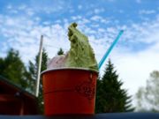 mêqiX@X̐Xj̓eʐ^1