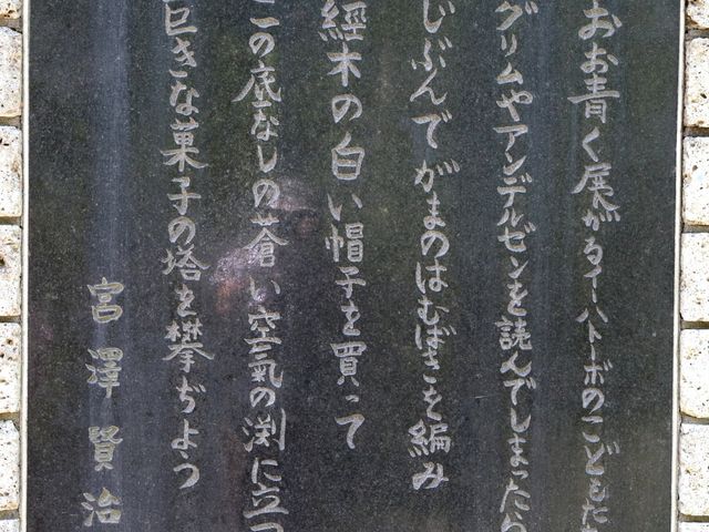 Ƃ񂳂̖̉͌VLv̓eʐ^3