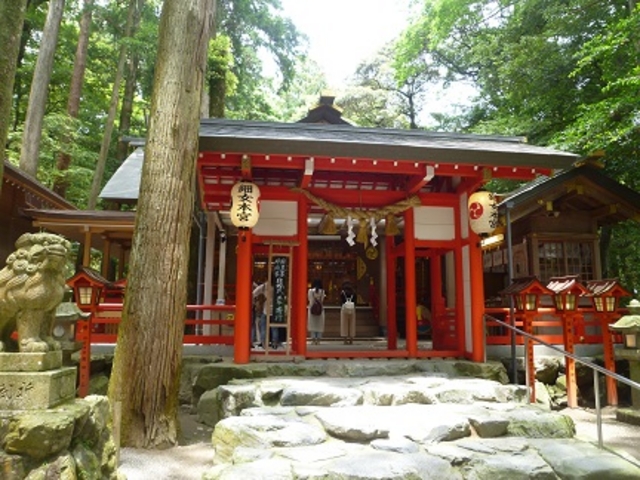 朱色も鮮やか縁結び、芸事の椿岸神社_椿大神社