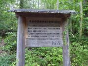 Ђ낳̒R@̐Ώ̓eʐ^2